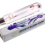 Ampolleta 250w Grow-Bloom-GG